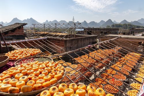 沙田柚禾花鱼等五个广西农产品上榜中国特色农产品优势区